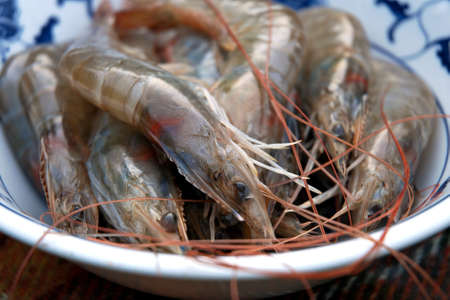 Bowl of jumbo raw tiger prawns の写真素材