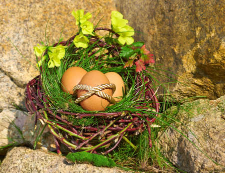 Easter Eggs on a rockの写真素材