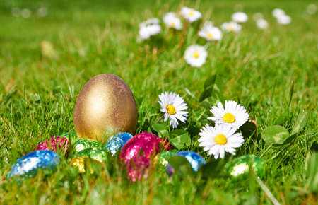 chocolate candy Easter eggs wrapped in foil on grassの写真素材