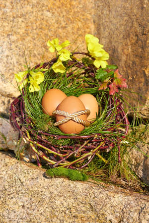 Easter Egg on a  stoneの写真素材