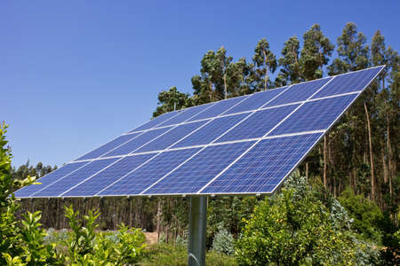 Solar Panel against a background of green treesの写真素材