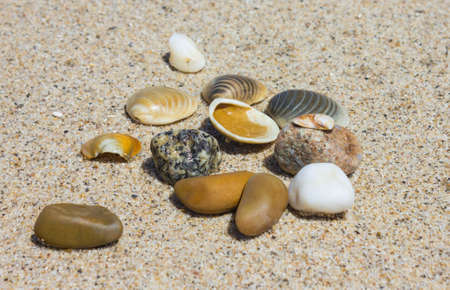 Pebbles on the sea sandの写真素材