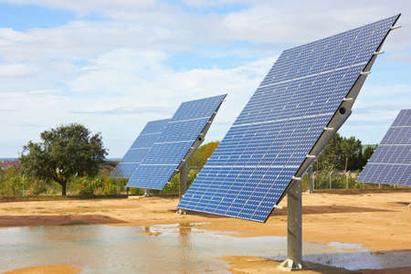 Solar Panels in a field of wheat の写真素材