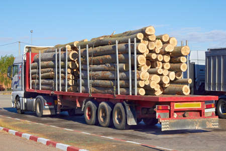 The loaded truck with logs の写真素材