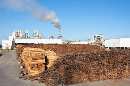Wood against Paper Factoryの写真素材