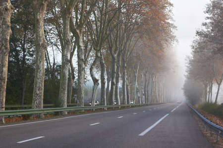  An empty and Foggy Highwayの写真素材