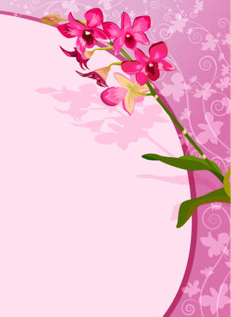 Orchid backgroundのイラスト素材