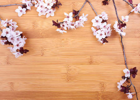 Wooden background with Spring flowersの写真素材