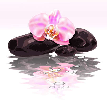 Spa concept zen stones and orchidのイラスト素材