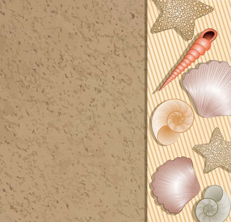 Vector shells on the beach のイラスト素材