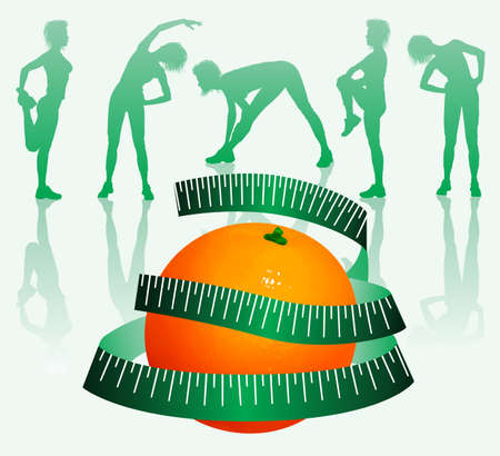 Orange With Measurement のイラスト素材