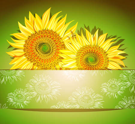 Abstract sunflower background, Vector illustrationのイラスト素材