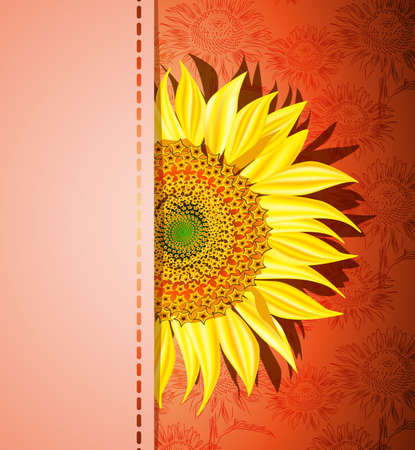 Sunflower on red backgroundのイラスト素材