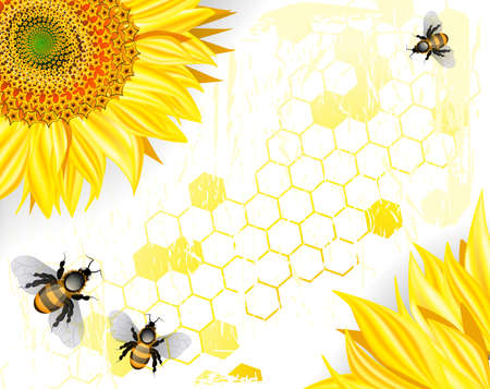 Sunflower and bees on white backgroundのイラスト素材