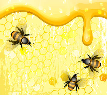 Bees on honeycomb, vector illustrationのイラスト素材