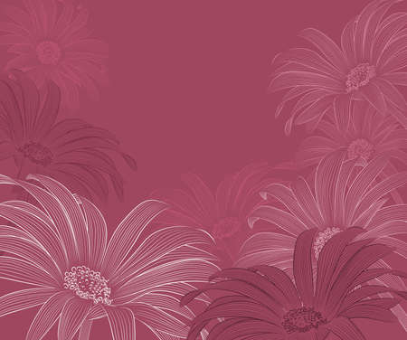 Daisy flowers backgroundのイラスト素材