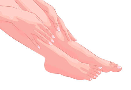 Female feet and hands isolated のイラスト素材