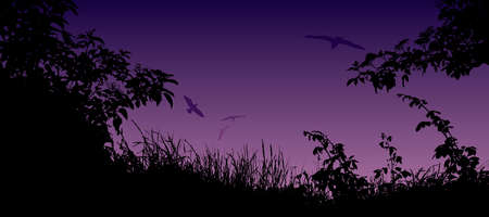 Summer landscape with silhouette of grass, flowers and birdsのイラスト素材