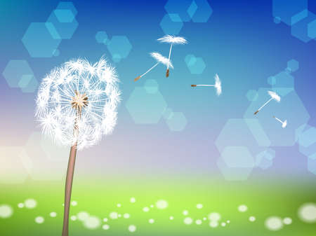 dandelion with pollens on green grass backgroundのイラスト素材