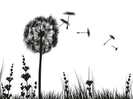 dandelion with pollens on white backgroundのイラスト素材