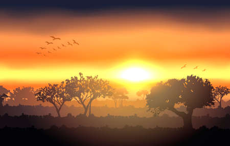 Vector sunset landscape with tree silhouetteのイラスト素材