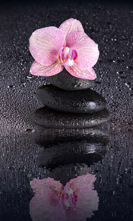 Wet Spa stone pyramid and orchid flower with reflectionの写真素材