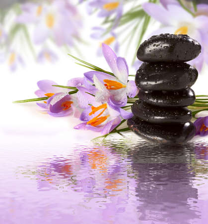 spa Background - purple flowers black stones on waterの写真素材