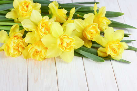 bouquet of narcissus flowers on white wooden backgroundの写真素材