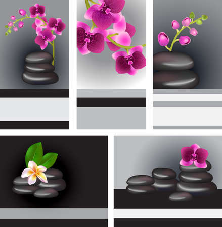 Vector cards and banners with stones and orchidsのイラスト素材