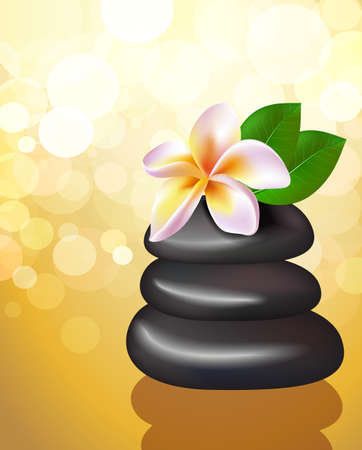 Spa illustration of stones with frangipani flowerのイラスト素材