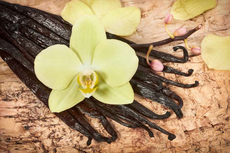 Vanilla sticks and orchid flower on the wood backgroundの写真素材