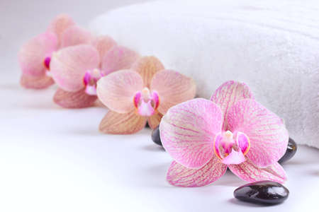 Orchids and spa stones on white towelの写真素材