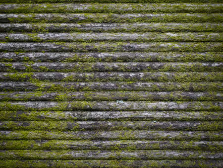 Wood texture, with moss, old and greenの写真素材