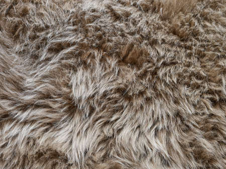 Fur background, sheepskin background, natural grey backgroundの写真素材