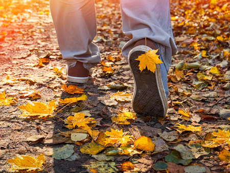 Feet shoes walking in nature. Fall, autumn, leaves, legs and shoes