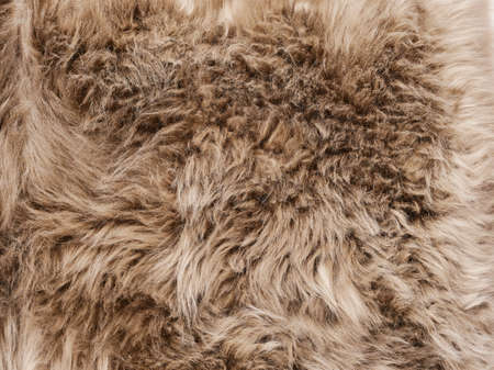 Natural brown fur backgroundの写真素材