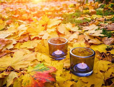 Yellow autumn leaves with candlesの写真素材