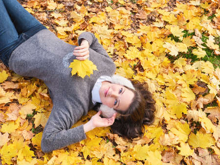 Young beautiful girl in gray sweater lying on yellow leaves, view from aboveの写真素材