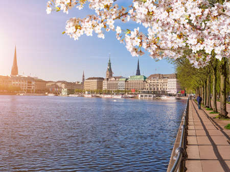 Embankment along the lake Lake, center of Hamburg in springtimeの写真素材