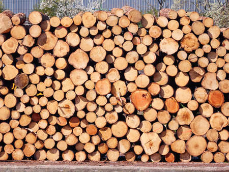 Firewood stacked prepared for winterの写真素材