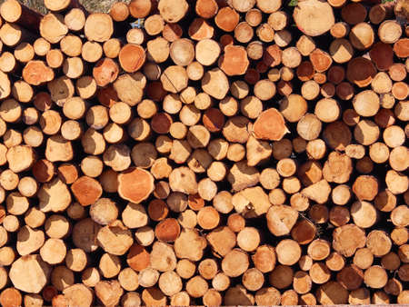 Firewood stacked backgroundの写真素材