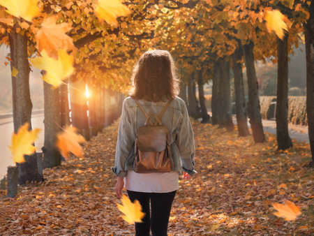 Walking woman in the park, autumn leaf fallの写真素材