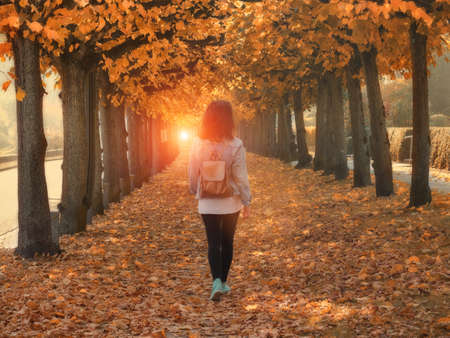 Walking woman in the autumn park, fall seasonの写真素材