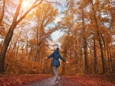 Woman in autumn forestの写真素材