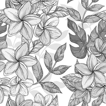 Seamless monochrome background of flowers frangipani, plumeria tropical flowerのイラスト素材