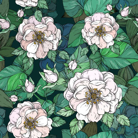 Colorful summer floral seamless pattern with white rosesのイラスト素材