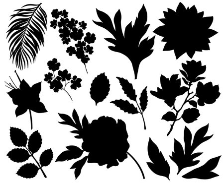 Collection of flowers and leaves silhouettes isolated on white backgroundのイラスト素材