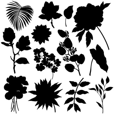 Set of flowers and leaves silhouettes isolated on white backgroundのイラスト素材