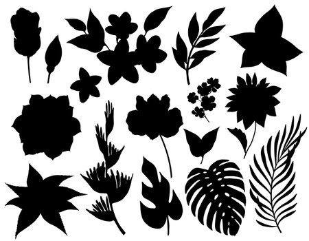 Set of tropical flowers and leaves silhouettes isolated on white backgroundのイラスト素材