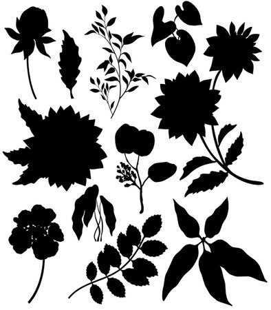 floral set of plant silhouettes isolated on white backgroundのイラスト素材